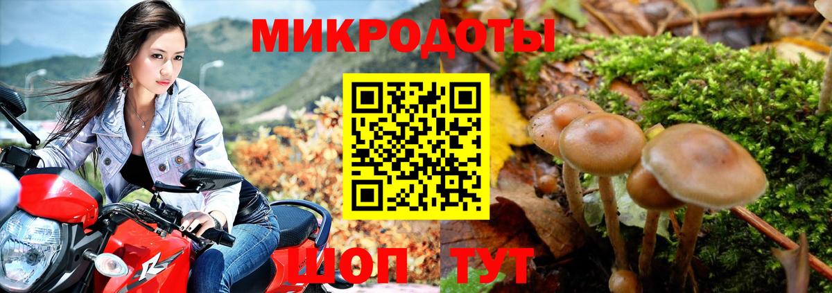 Алейск  Галлюциногенные грибы Cubensis  Псилоцибиновые грибы GOLDEN TEACHER  Вход с VPN 